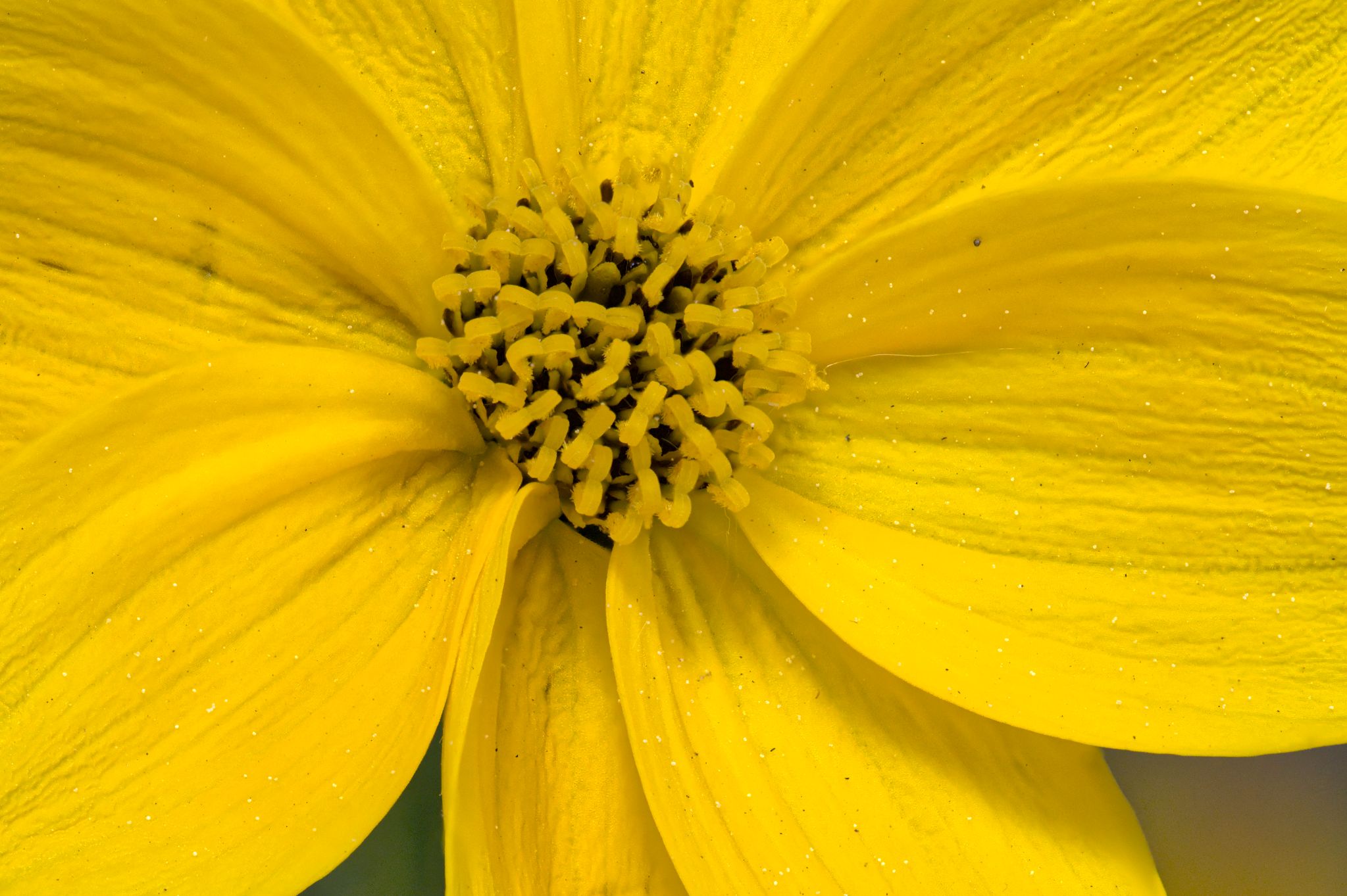 2022 05 07 17 33 43 (B,R8,S10)a